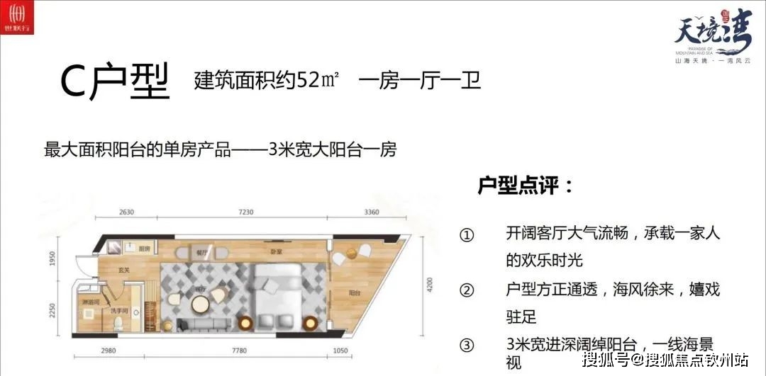 246免费资料大全正版资料版_详细解答解释落实_3DM28.36.57