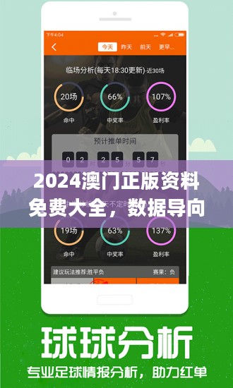 2024年新澳门王中王免费_详细解答解释落实_实用版265.308