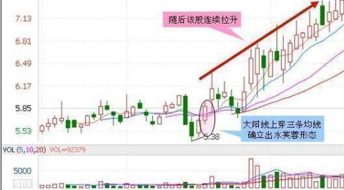 今晚香港出什么特马,2024澳门精准正版资料大全下载,3网通用：iPad65.51.40_精选解释落实将深度解析_网页版v398.604