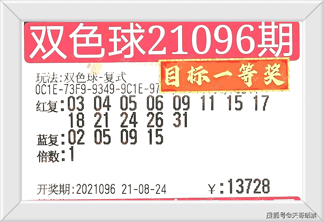 2024今晚澳门码特开什么号码,3网通用：实用版051.117_详细解答解释落实_手机版991.590