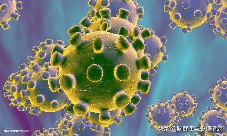 美国报告首例人感染禽流感死亡病例，H5N1病毒在患者体内发生变异