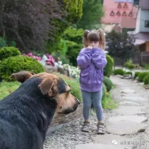 云南大关县3岁女童遭狗群撕咬追踪：已找到两只涉事犬的主人