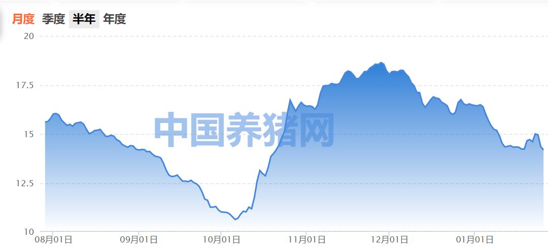 销售向好！猪企2024年12月数据新鲜出炉