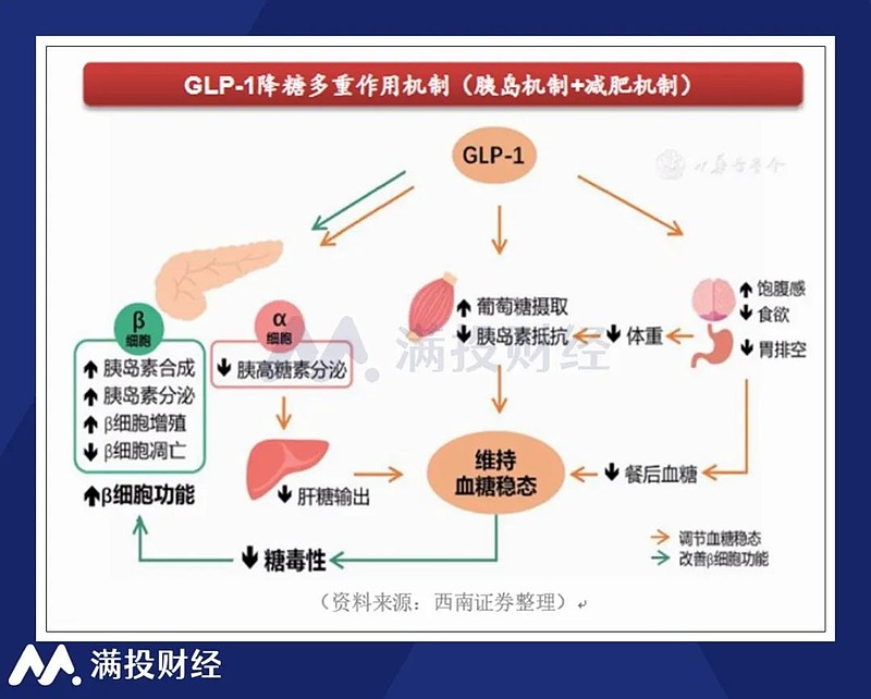 追问｜GLP-1掀起肥胖革命，减肥药的下半场在哪儿？