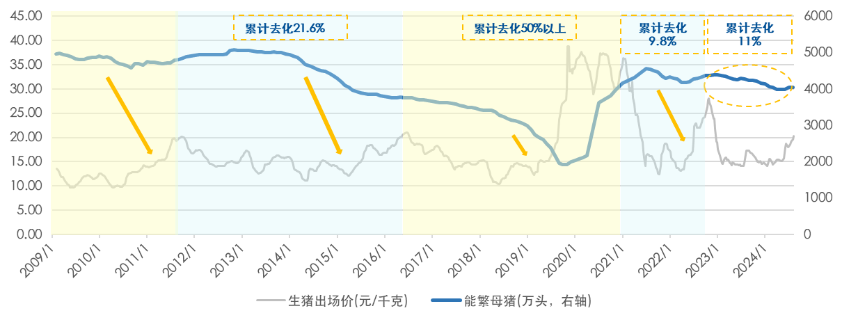 A股猪企景气周期变化：强修复叠加弱预期