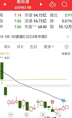 惠而浦盘中异动 股价大涨5.01%