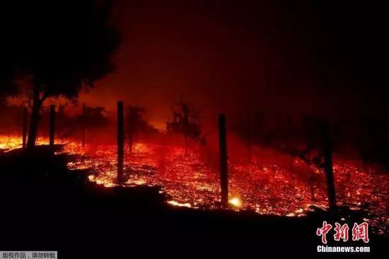 美国加州山火已致16人死亡灭火工作进展有限