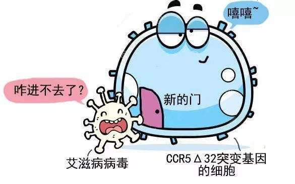 法国一名艾滋病病毒感染者实现“功能性治愈”