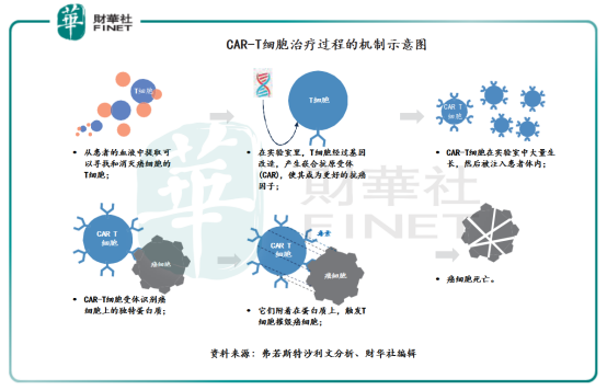 科济药业-B现涨超7% 医保丙类目录年内出炉机构称CAR-T有望进入目录