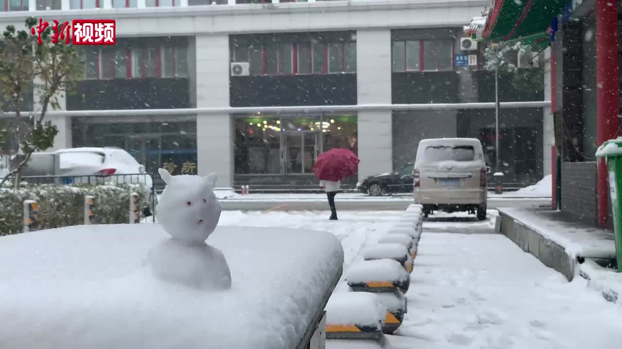 辽宁营口普降大雪：倡议居民非必要不出门，有条件的居家办公