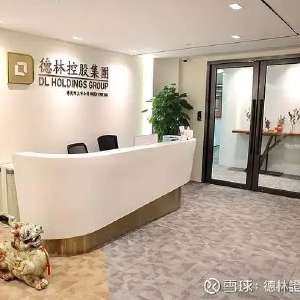 德林控股根据购股权计划发行30万股